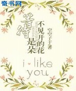 等待,是朵不见开的花