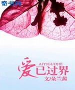爱已过界