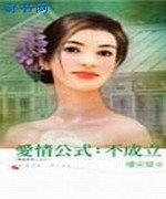 爱情公式:不成立