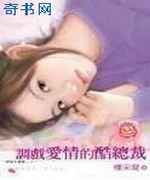 调戏爱情的酷总裁