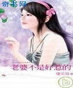 老婆不是好惹的