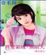 真爱领域:无限大