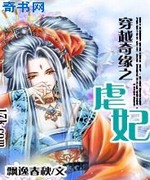 穿越奇缘之虐妃