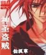 神圣盗贼