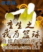 重生之我为篮球
