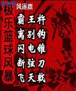 极乐篮球风暴