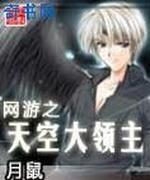网游之天空大领主