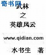 武林之英雄风云