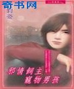 邪情饲主宠物男孩