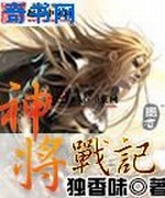 神将战记