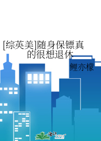 [综英美]随身保镖真的很想退休